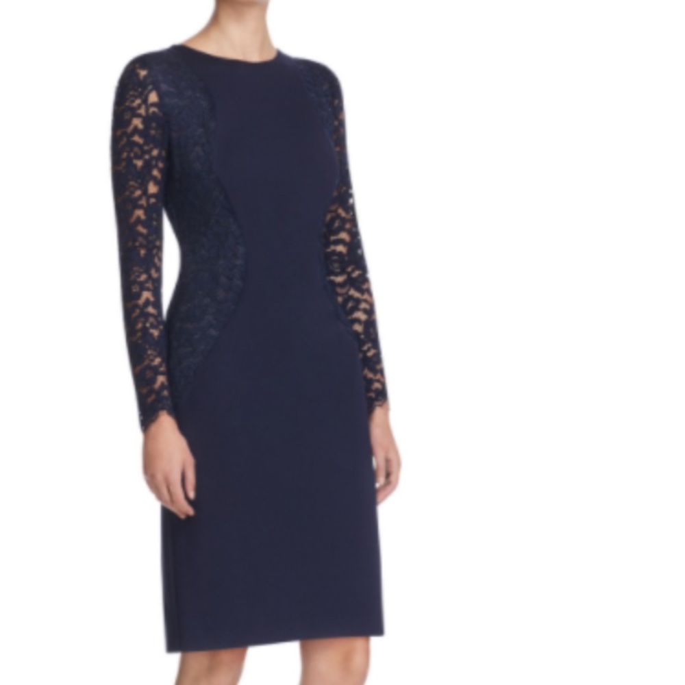 NWOT HOBBS SHEATH DRESS